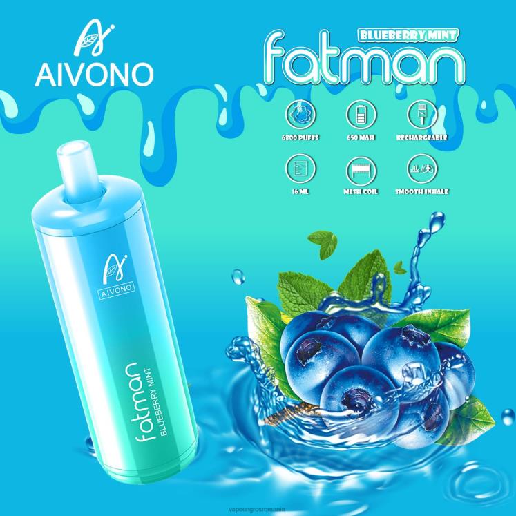 Aivono FATMAN 6800 mentă de afine - XZ8VB22 Țigară Electronică Cu Lichid
