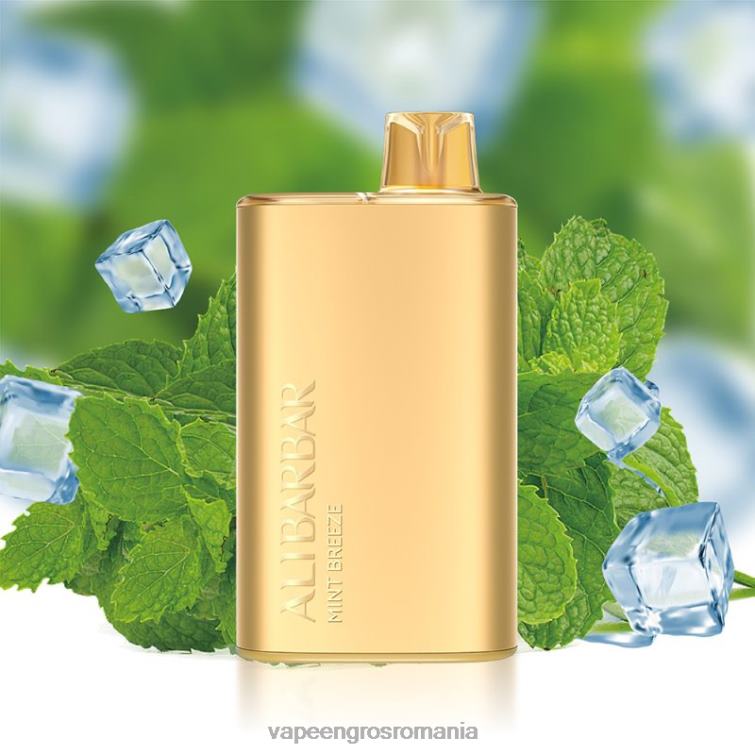 Vape En-Gros Romania Z4FPZ8 Alibarbar Rich 8000 vape de unică folosință briza de mentă