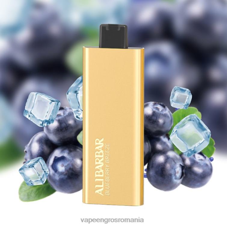 Puff Vape En Gros Z4FPZ51 Alibarbar Pandora 7000 vape de unică folosință briza afinelor