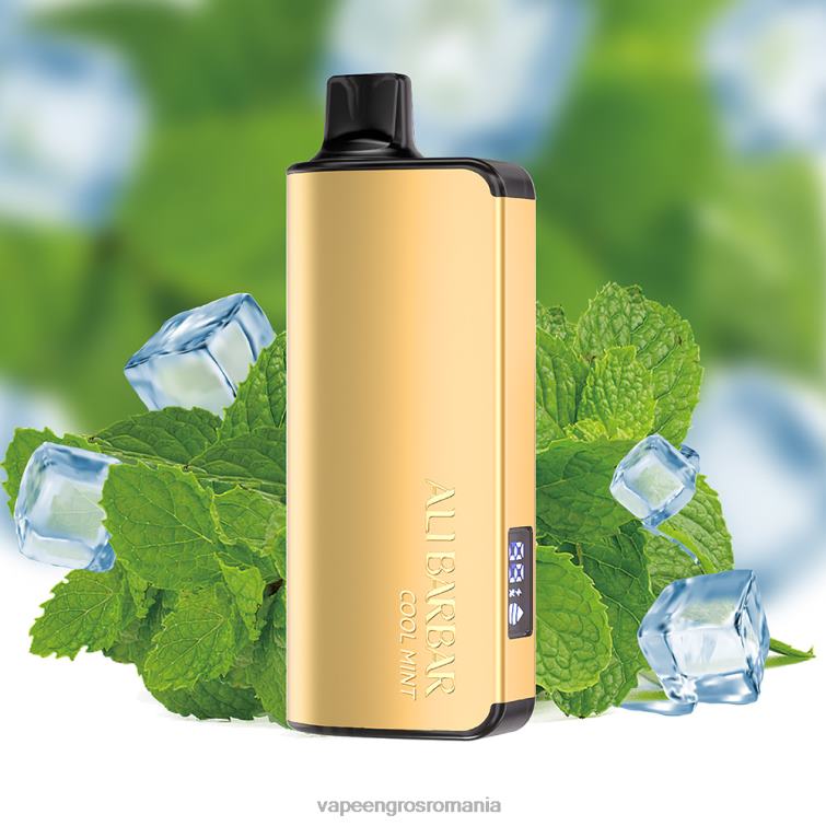 Țigară Electronică Preț Z4FPZ18 Alibarbar Ingot 9000 vape de unică folosință menta rece
