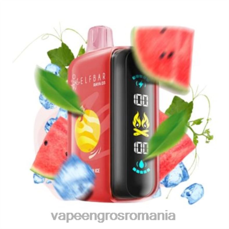 Elf Bar Raya D3 25000 - T48V01 de unică folosință Vape En-Gros Romania