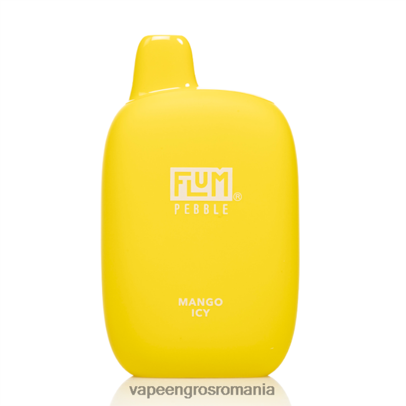 mango înghețat FLUM PEBBLES 6000 pufuri 6J2HRX32 Țigară Electronică Preț