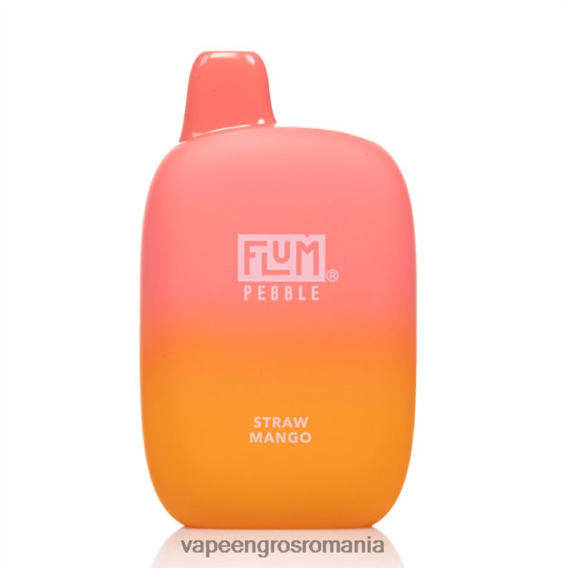 mango pai FLUM PEBBLES 6000 pufuri 6J2HRX43 Vape En-Gros Romania