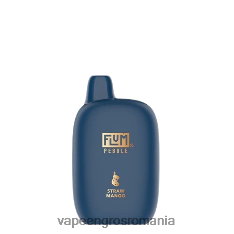 mango pai FLUM PEBBLES 6000 pufuri (ediția de Crăciun) 6J2HRX11 Țigară Electronică Preț