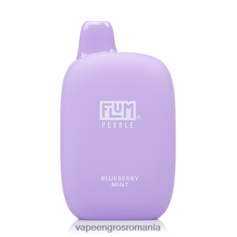 mentă de afine FLUM PEBBLES 6000 pufuri 6J2HRX23 Puff Vape En Gros