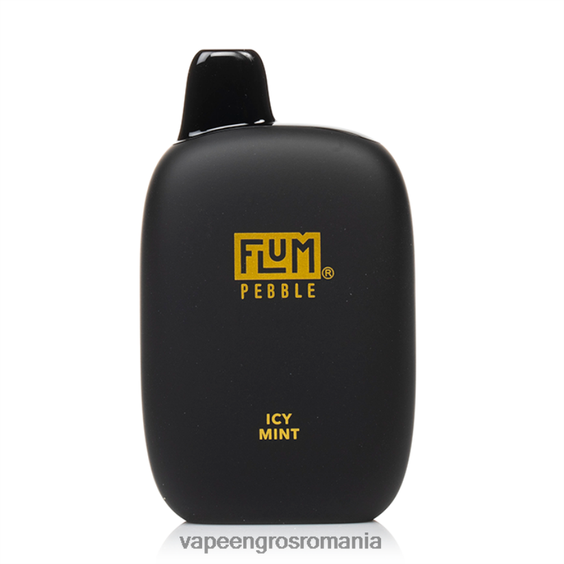 mentă înghețată FLUM PEBBLES 6000 pufuri 6J2HRX30 Puff Vape En Gros
