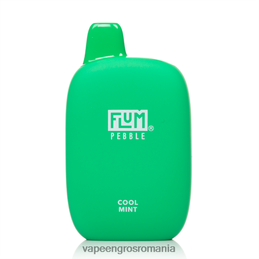 menta rece FLUM PEBBLES 6000 pufuri 6J2HRX26 Țigară Electronică Vaporesso