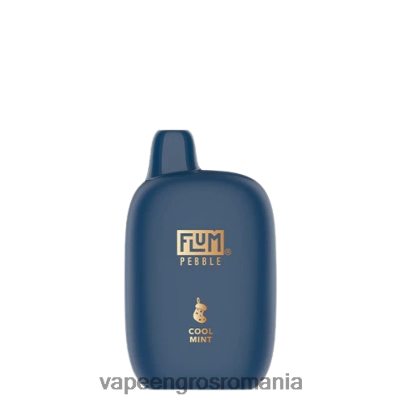 menta rece FLUM PEBBLES 6000 pufuri (ediția de Crăciun) 6J2HRX5 Țigară Electronică Vaporesso