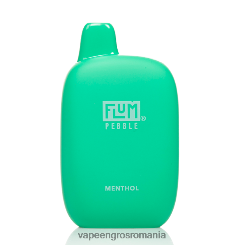 mentol FLUM PEBBLES 6000 pufuri 6J2HRX35 Țigară Electronică Cu Încărcător