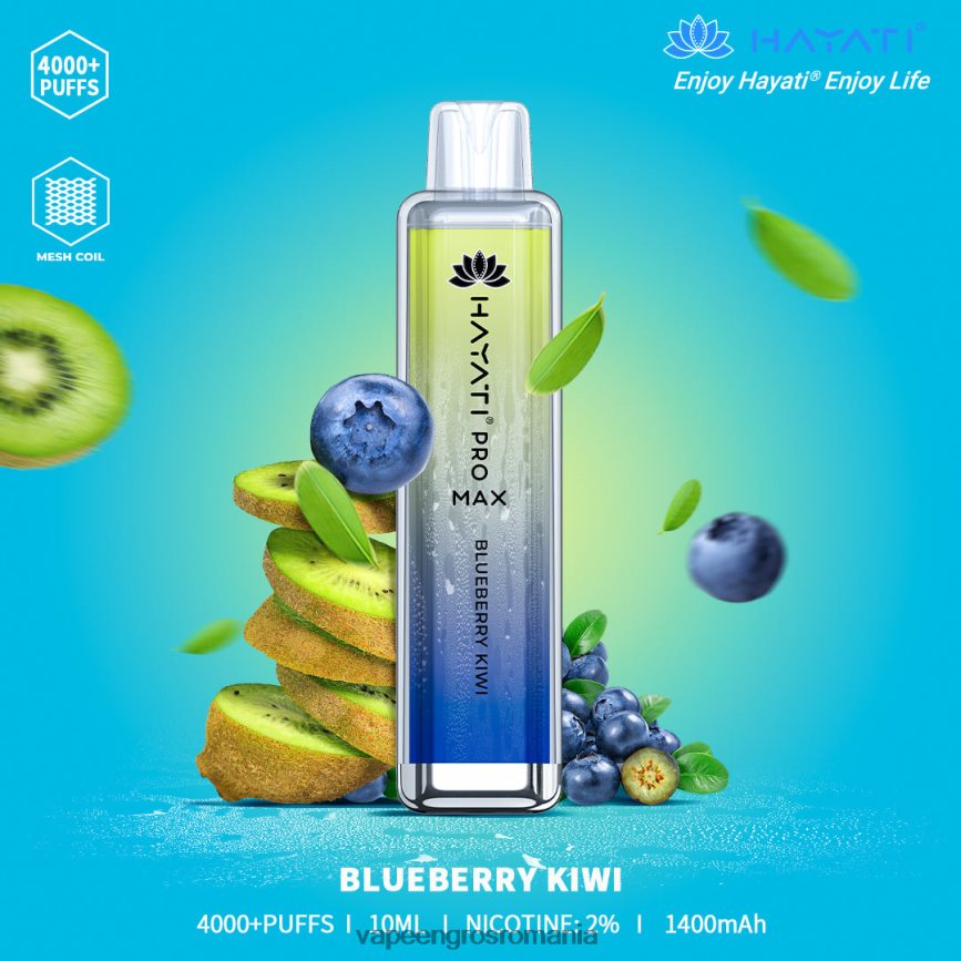 Puff Vape En Gros kiwi cu afine N48BL152 Hayati Pro Max 4000