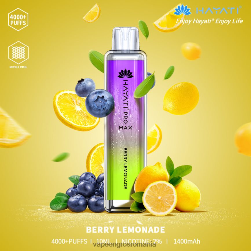 limonadă cu fructe de pădure