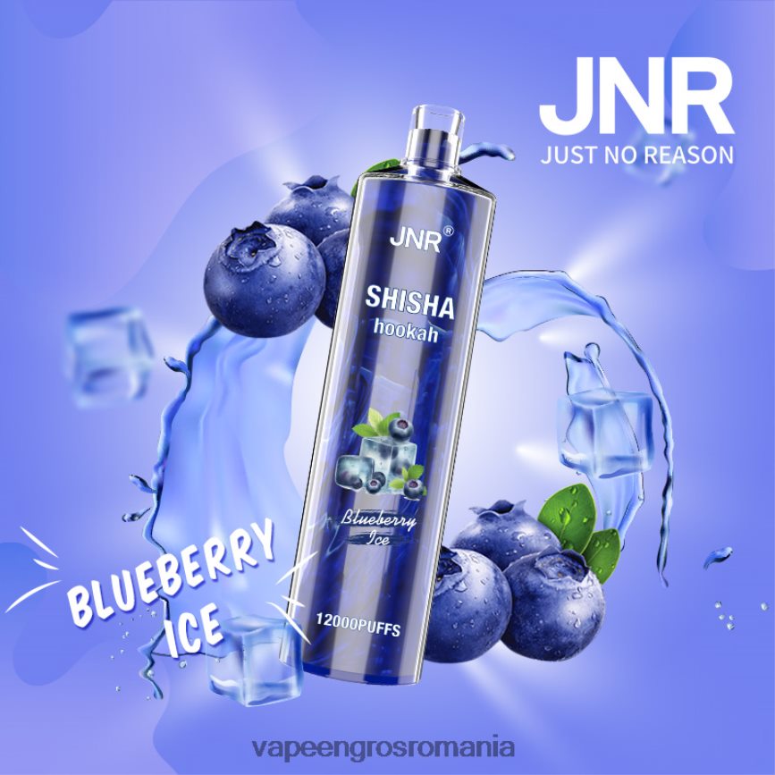 Vape En-Gros Romania gheata de afine N48BL671 JNR SHISHA