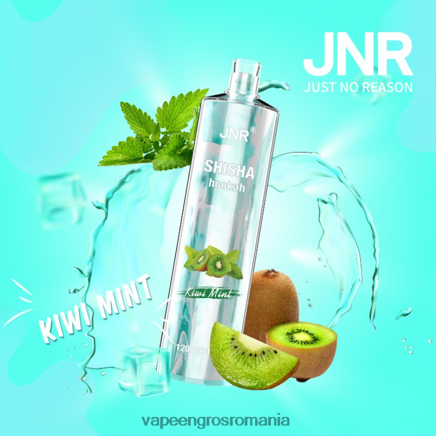 Vape En-Gros Romania menta kiwi N48BL681 JNR SHISHA