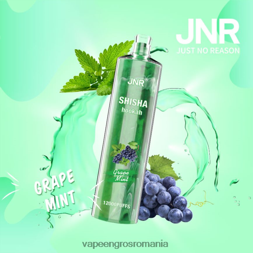 Vape Fara Nicotina menta de struguri N48BL678 JNR SHISHA