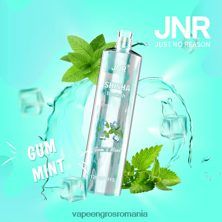 Vape Reincarcabil gumă de mentă N48BL679 JNR SHISHA