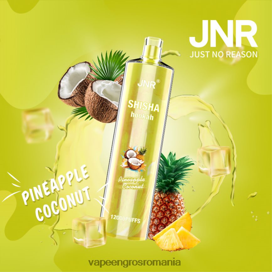 nucă de cocos de ananas