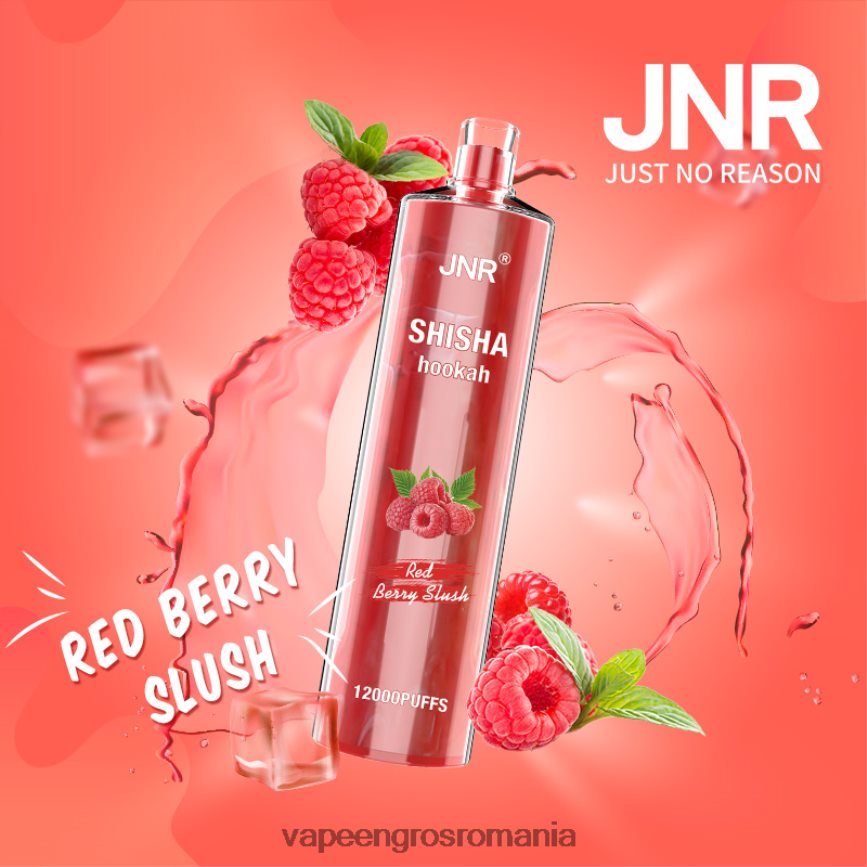 Țigară Electronică Cu Încărcător nămol de fructe roșii N48BL687 JNR SHISHA