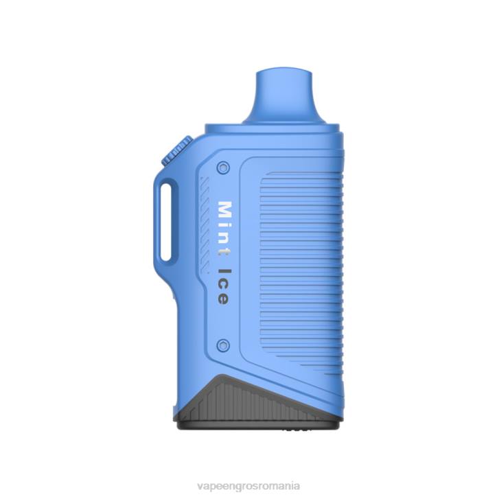 LAVIE Energy Box 15000 pufuri 8BXF72 | Vape Romania Shop gheata de menta