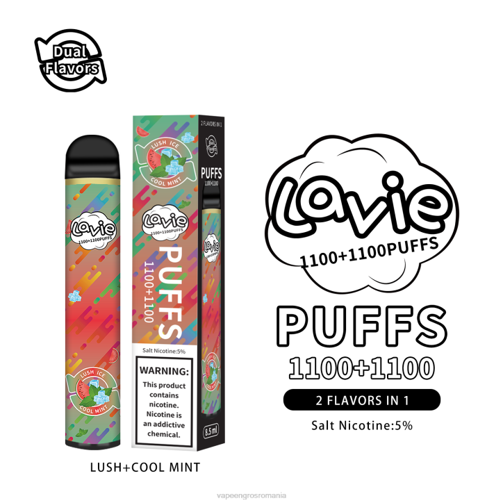 LAVIE BAR Switch 2200 pufuri 8BXF294 | Țigară Electronică Cu Lichid mentă luxuriantă/rece