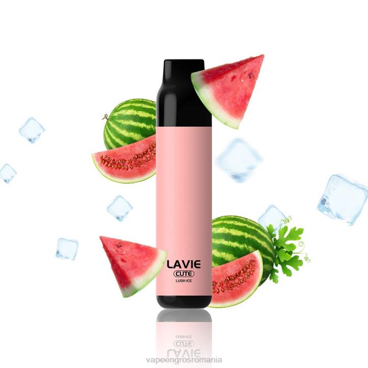LAVIE BAR 3000 pufuri 8BXF285 | Țigară Electronică Vaporesso gheață luxuriantă