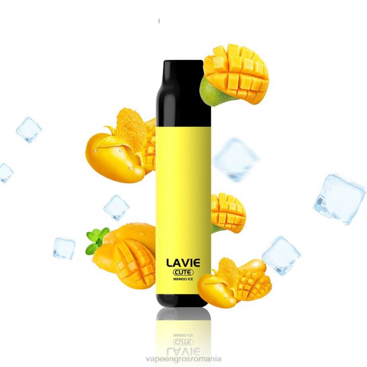 LAVIE BAR 3000 pufuri 8BXF287 | Țigară Electronică Cu Încărcător gheata de mango