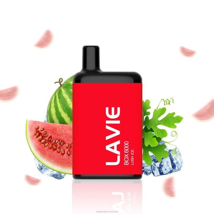 LAVIE BOX 6000 pufuri 8BXF199 | Țigară Electronică Cu Încărcător gheață luxuriantă