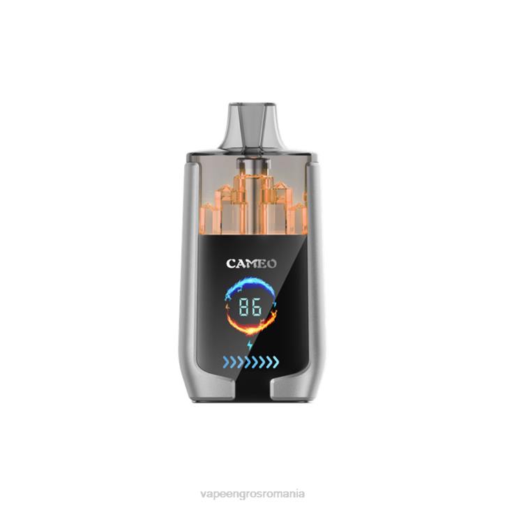 LAVIE CAMEO 30000 de pufuri 8BXF15 | Țigară Electronică Cu Încărcător gheata de afine