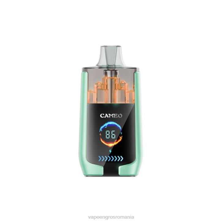 LAVIE CAMEO 30000 de pufuri 8BXF20 | Țigară Electronică Preț măr dublu