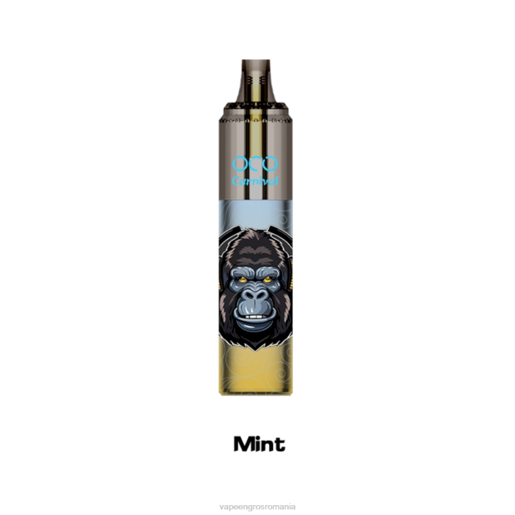 LAVIE OCO carnaval 10000 pufuri 8BXF354 | Puff Vape En Gros mentă