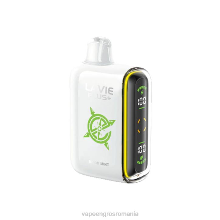LAVIE PLUS 15000 pufuri 8BXF98 | Puff Vape En Gros miami mint