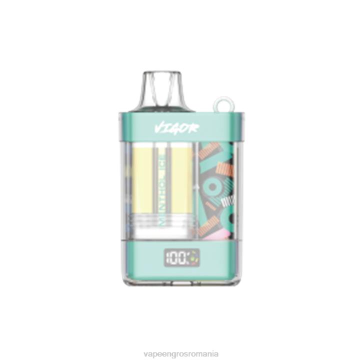 LAVIE VIGOR 15000 pufuri 8BXF2 | Puff Vape En Gros gheață de mentol