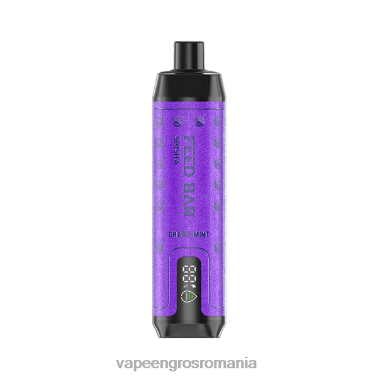 Puff Vape En Gros Z4FPZ100 Vapsolo SHISHA vapa de unică folosință menta de struguri