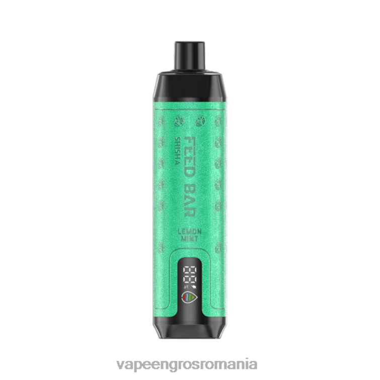 Vape Angro Z4FPZ101 Vapsolo SHISHA vapa de unică folosință menta de lamaie