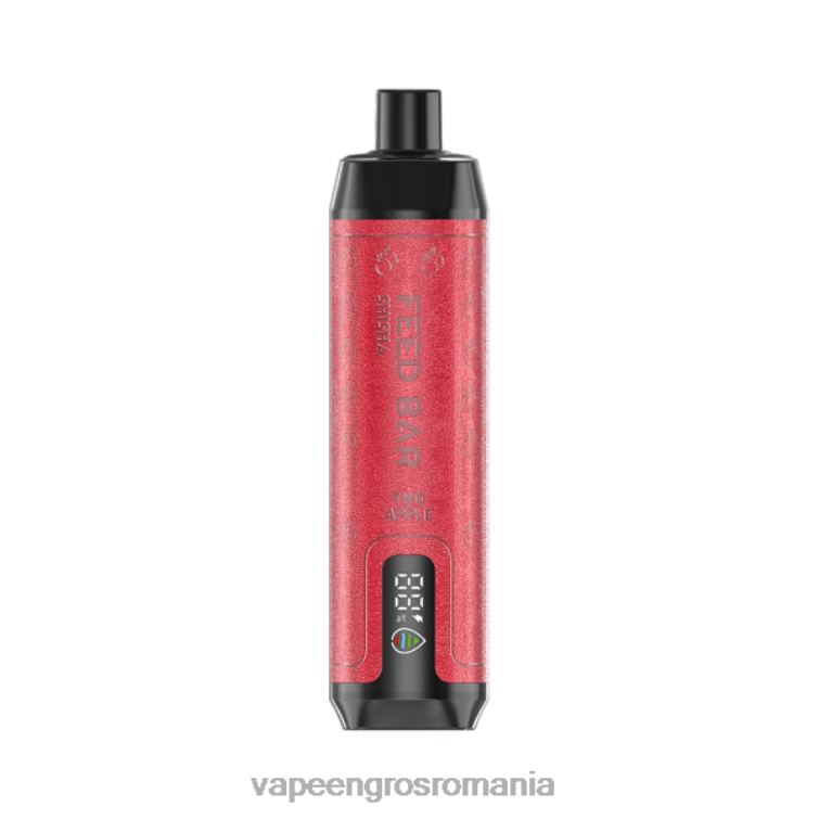 Vape En-Gros Romania Z4FPZ106 Vapsolo SHISHA vapa de unică folosință doi mere