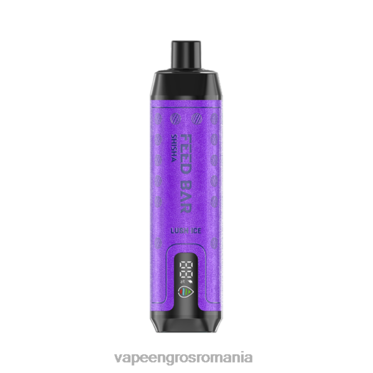Țigară Electronică Preț Z4FPZ102 Vapsolo SHISHA vapa de unică folosință gheață luxuriantă