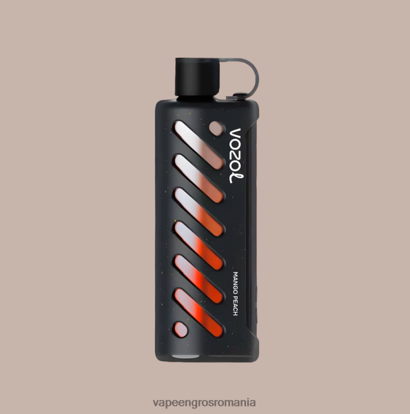 multi VOZOL unelte shisha 25000 6J2HRX1 Vape En-Gros Romania