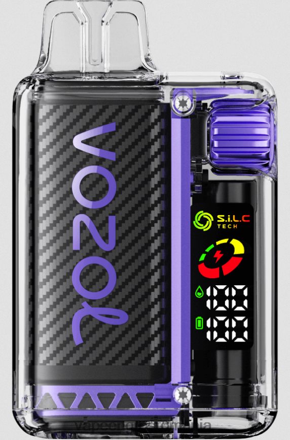 Puff Vape En Gros gheață de struguri N48BL12 VOZOL VISTA 16000/20000 5%
